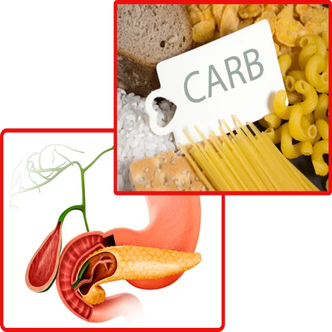 blood sugar Levels